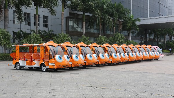 駕駛電動觀光車需要駕駛證嗎？