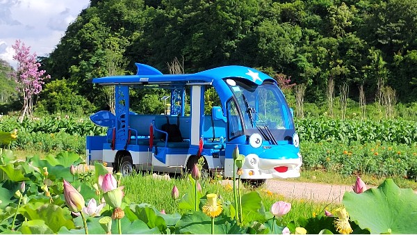 讓瑪西爾“海豚”觀光車帶您游山玩水吧！
